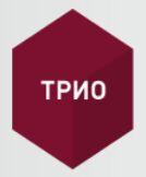 ГК "ТРИО"